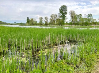 Beautiful landscape photography