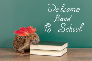 Hedgehog student invites back to school. A fun idea for going back to school after the holidays