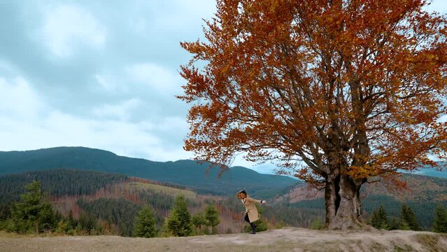 Cold autumn weather in mountains. Girl in coat and hat is fooling around and pretends that she can't walk normally due to strong gust of wind. On hill is oak tree with lush branches of colored leaves
