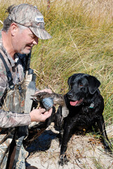 A hunter and his Lab inspect a blue-wing teal they harvested
