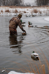 A hunter retrieves decoys from an icy slough 