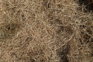 Pile of dry grass or straw.