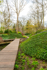 Beautiful garden with multi colored flowers near the Amsterdam city, Netherlands.