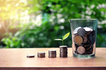 Small green trees grow on coins stacked on stairs. And there is money in a glass jar that sits on a brown wooden table. Copy space concept. Deposit business growth