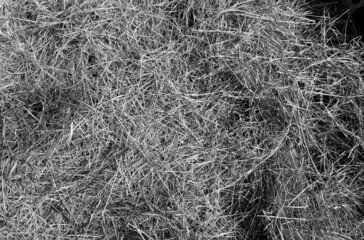 Pile of dry grass or straw in black and white.