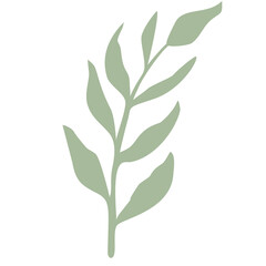 Fototapeta premium Green Leaf vector isolated on white background. Leaves in modern flat style.