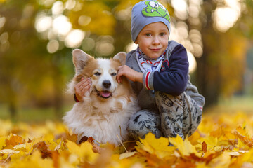 Friends, baby and dog are sitting together in beautiful golden leaves. Autumn in the park