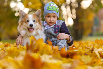 Friends, baby and dog are sitting together in beautiful golden leaves. Autumn in the park