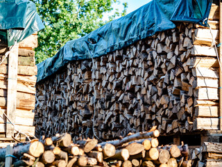 Brennholzlager am Waldrand