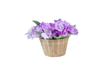  A basket of fresh purple flowers isolated on white background
