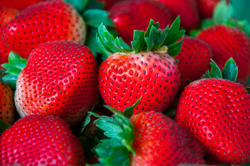 close-up, fresh, juicy, strawberry, fruit