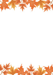  Autumn Mushrooms Compositions  isolated Vector illustration on white background.