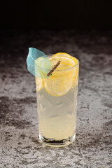 Orange alcoholic cocktail with citrus on black background