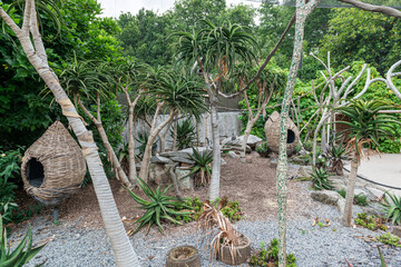 garden of the zoo