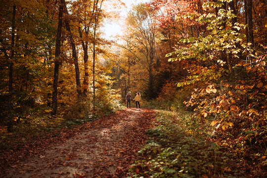 Couple holding hands in autumn forest in Canada