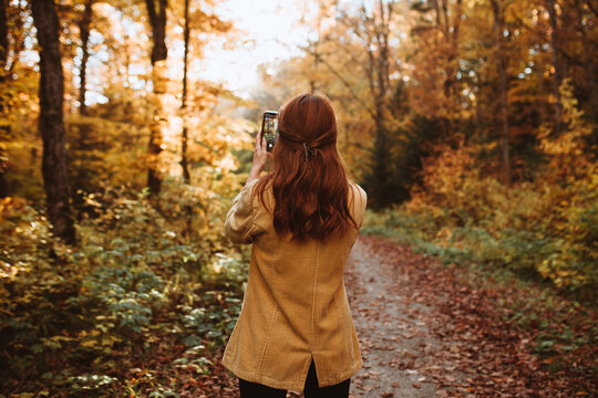 Anonymous woman standing taking photo on mobile phone in autumn forest