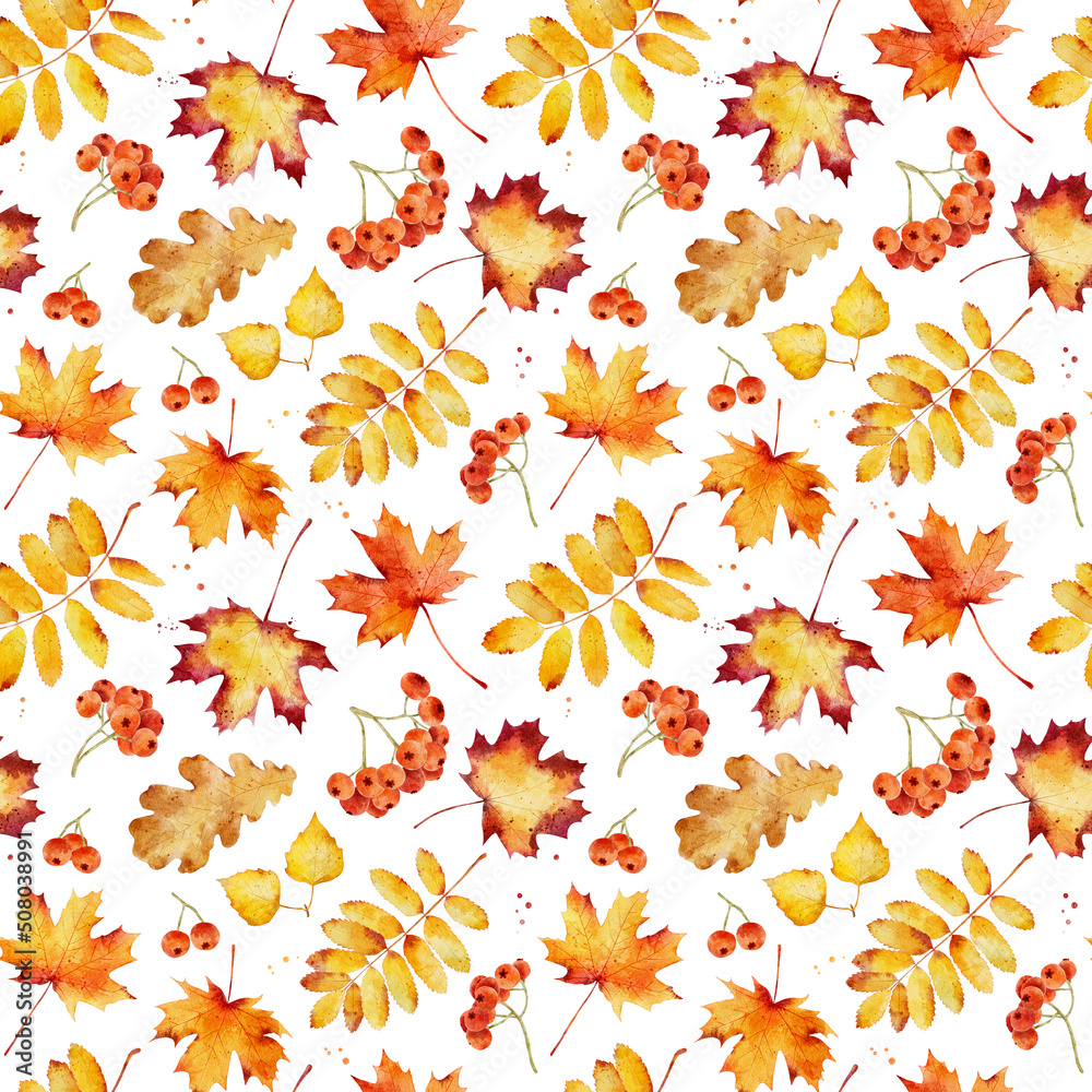 Wall mural watercolor seamless pattern with autumn leaves isolated on white background.