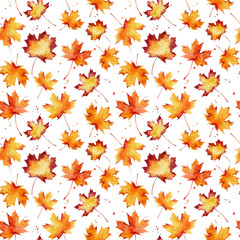 Fototapeta premium Watercolor seamless pattern with autumn maple leaves isolated on white background.