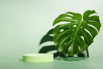 Geometric podium with monstera leaf and harsh shadows. Minimal display for cosmetic and product presentation © Natureveryday