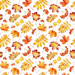 Watercolor seamless pattern with autumn leaves isolated on white background.