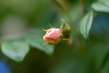 Freizeitzentrum Finkenrech bei Eppelborn