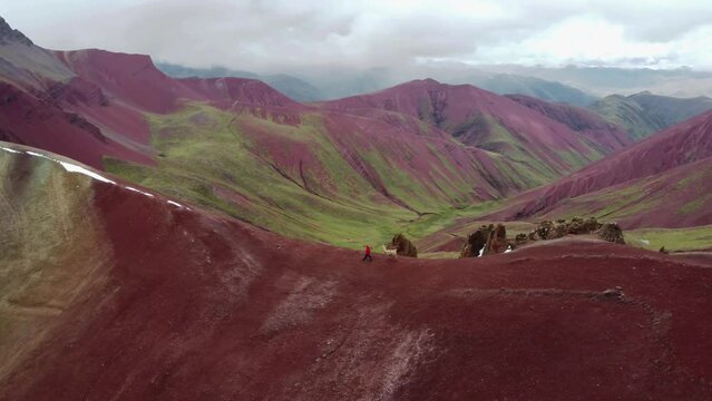 Man in red walking with Lama (Alpaka) on Rainbow Mountain Peak at Vinicunca Valley in Peru. Aerial footage. Red Valley.