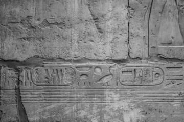 hieroglyphics in black and white in temple of Karnak.
