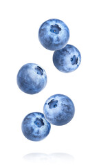 Falling blueberry berries on white background