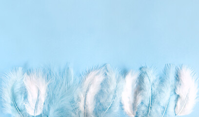 Top view background with frame from blue and white bird feathers. Light and soft minimal concept