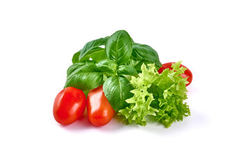 Basil leaves with lettuce, isolated on white background.