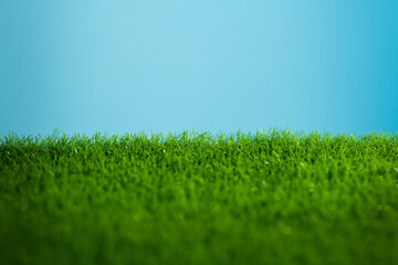 Closeup of green grass. Nature lawn background.