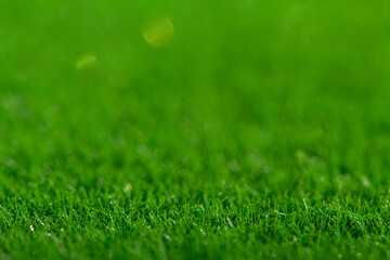 Obraz na płótnie Canvas Closeup of green grass. Nature lawn background.