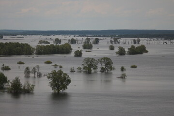 Spring Flood On The Desna River. Mezynsky National Nature Park, Chernihiv Region, Ukraine