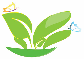 Green leaves and butterfly. Nature Vector Logo. Best natural concept. High commercial use