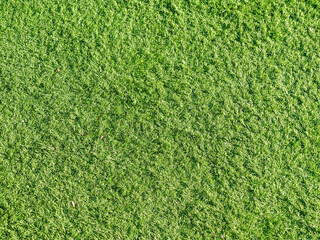 cesped falso artificial textura  