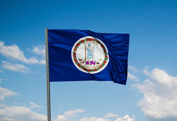 US state flag