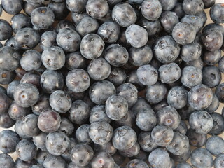 arandano arandanos cenital textura alimentación  