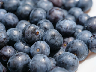 arandano multiple alimentacion  