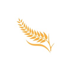 Fototapeta na wymiar Wheat logo vector icon illustration