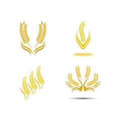 Wheat logo vector icon illustration