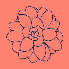 Succulent doodle pattern. Desert flower sketch. Succulent line art background. Outline drawing plant. 