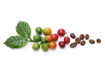 fresh red coffee beans with leaves on white background