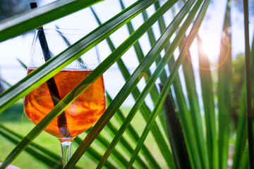 Cold aperol spritz cocktail and tropical palm leaves in summer sun. Horizontal close-up with bokeh.