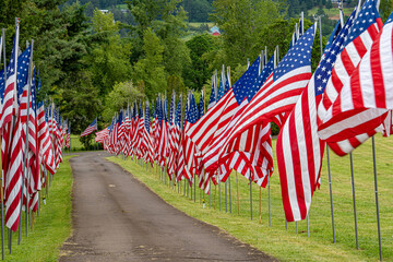 A display of United States flags on Memorial Day along a road in a cemetary near Dallas Oregon