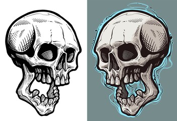 Detailed graphic hand drawn realistic black and white angry human skull with open jaw. Isolated on white background. Tattoo outline. Vector icon.
