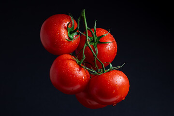 Branch of fresh tomatoes with water drops on black background