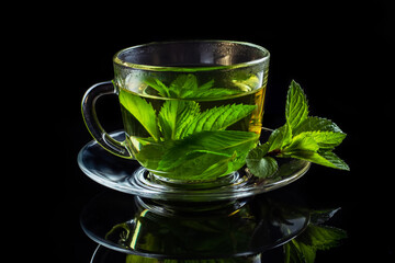 Hot cup of tea with fresh mint leaf on black background