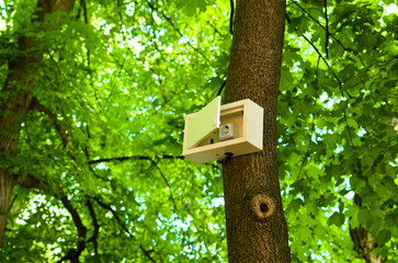 Electric socket in white box on the tree in park. Green energy concept. Blurred tree leaves background