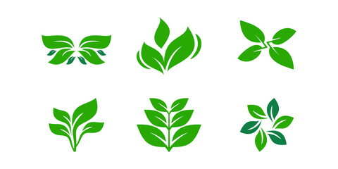 Leaf icon vector design with modern creative concept Premium Vector