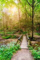 Obraz premium Footbridge on a trail